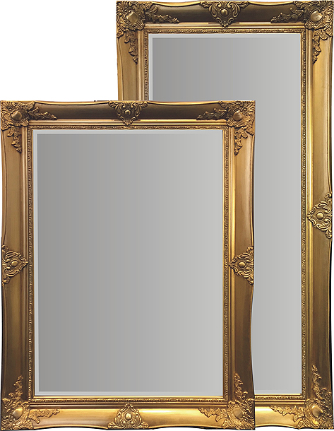 Photo Frames Portrait Picture Frame, Large Gold Framed Mirror Nz